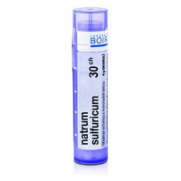 BOIRON Natrum Sulfuricum CH30 4 g