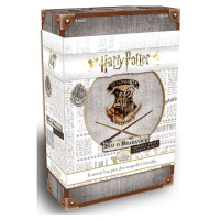 REXhry Harry Potter Boj o Rokfort Obrana proti čiernej mágii