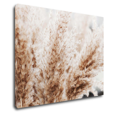 Impresi Obraz Suchá tráva škandinávsky štýl - 90 x 70 cm