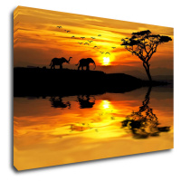 Impresi Obraz Safari západ slunce - 60 x 40 cm