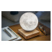 Lampa "Moon", orech - Gingko
