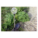 Garthen 306 Záhradná LED solárna lampa sklenené gule so zmenou farby