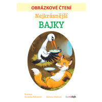 Nejkrásnější bajky - Obrázkové čtení, Stluková Barbora