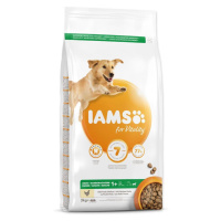 IAMS Dog Adult Large Chicken granule pre psov 1 kus, Hmotnosť balenia (g): 12 kg