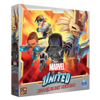 Cool Mini Or Not Marvel United: Rise of the Black Panther