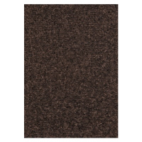 Kusový koberec Nasty 101154 Braun Rozmery kobercov: 80x200