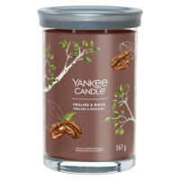 Yankee Candle, Pralinka a breza, Sviečka v sklenenom valci 567 g