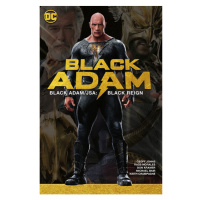 DC Comics Black Adam/JSA: Black Reign