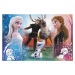Trefl Puzzle 300 - Magický čas /  Disney Frozen 2