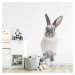 Nástenná samolepka Dekornik Rabbit Harry, 50 x 103 cm