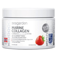 SEAGARDEN Marine Collagen + Vitamin C, Jahoda 150 g