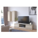 Expedo TV stolík RUTH RTV K160 2D1P, 160x33x40, wenge