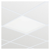 LED panel RC133V G4 LED34S/830 PSD W62L62 OC