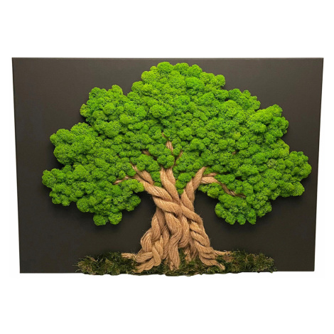 Machový obraz  Strom 60 x 90 cm