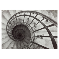 Dekoria Obraz na plátne Spiral Stairs, 50 x 35 cm