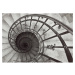 Dekoria Obraz na plátne Spiral Stairs, 50 x 35 cm