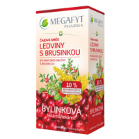 MEGAFYT Bylinková lekáreň Obličky s Brusnicou čajová zmes, 20 x 1.5 g