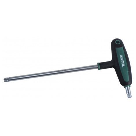 Skrutkovač torx TH25 Honiton