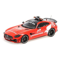 1:18 MERCEDES-AMG GT-R - 'SAFETY CAR FORMULA 1 202