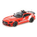 1:18 MERCEDES-AMG GT-R - 'SAFETY CAR FORMULA 1 202