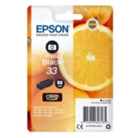 Epson T3341 Atramentová náplň Photo Black