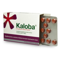 Kaloba 20 mg 21 tabliet