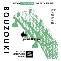 Galli BM60 6-String Silverplated