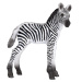 Mojo Zebra mláďa novinka