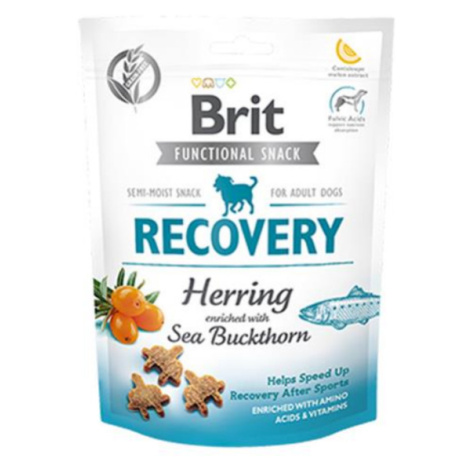 Brit snack Recovery herring & sea buckthorn 150 g