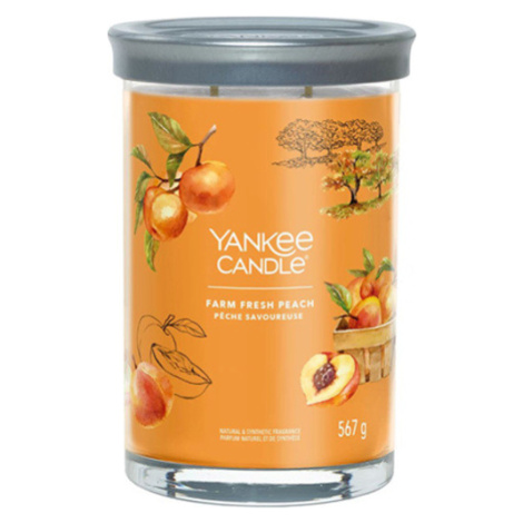 Yankee Candle, Čerstvá farmárska broskyňa, Sviečka v sklenenom valci 567 g