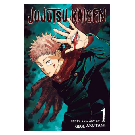 Viz Media Jujutsu Kaisen 1