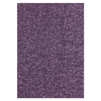 Kusový koberec Nasty 101150 Lila Rozmery koberca: 67x120
