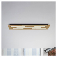 Paul Neuhaus Smart LED stropné svietidlo Q-Acoustic wood 115 x 31cm