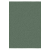 Kusový koberec Softie Lilypad - 160x230 cm Flair Rugs koberce