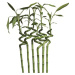 2G Lipov Chránič matraca Bamboo z prírodných vlákien - 85x195 cm