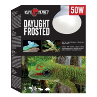 Žiarovka Repti Planet Daylight Frosted 50W