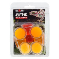 Krmivo Repti Planet Jelly Pots Fruit 8ks