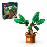 LEGO® Harry Potter 76433 Mandragora