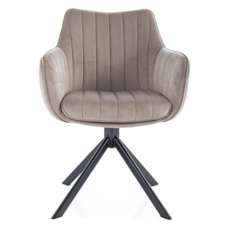 SIGNAL Jedálenská stolička AZALIA VELVET tmavo béžová