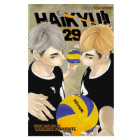 Viz Media Haikyu!! 29