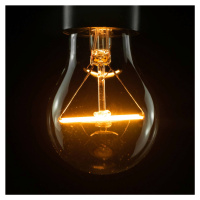SEGULA LED žiarovka E27 2,5 W stmievateľná číra
