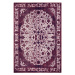 AKCE: 80x150 cm Kusový orientální koberec Chenille Rugs Q3 104748 Berry - 80x150 cm Hanse Home C