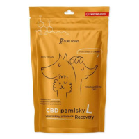 Pamlsok CBD Recovery L 100g