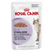 Royal Canin STERILISED 12x85G- v štave