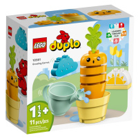 LEGO DUPLO PESTOVANIE MRKVY /10981/