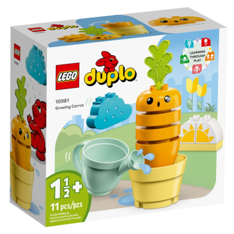 LEGO DUPLO PESTOVANIE MRKVY /10981/