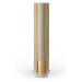 Bang & Olufsen BeoSound Emerge Gold / Light oak