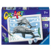 CreArt Veselí delfíny