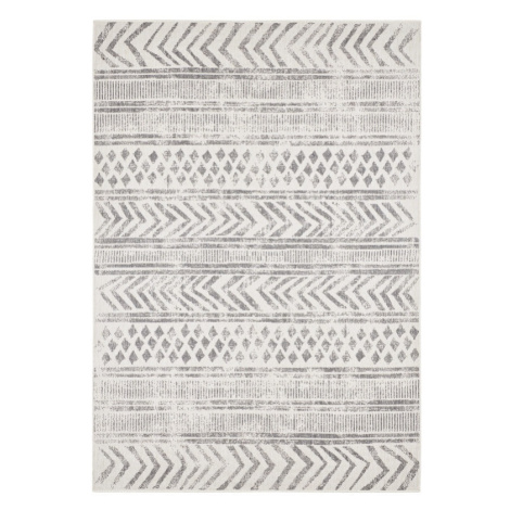 Kusový koberec Twin Supreme 103862 Biri Grey/Cream – na ven i na doma - 80x150 cm NORTHRUGS - Ha