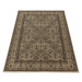 Kusový koberec Kashmir 2602 beige - 200x290 cm Ayyildiz koberce